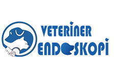 Veterinery